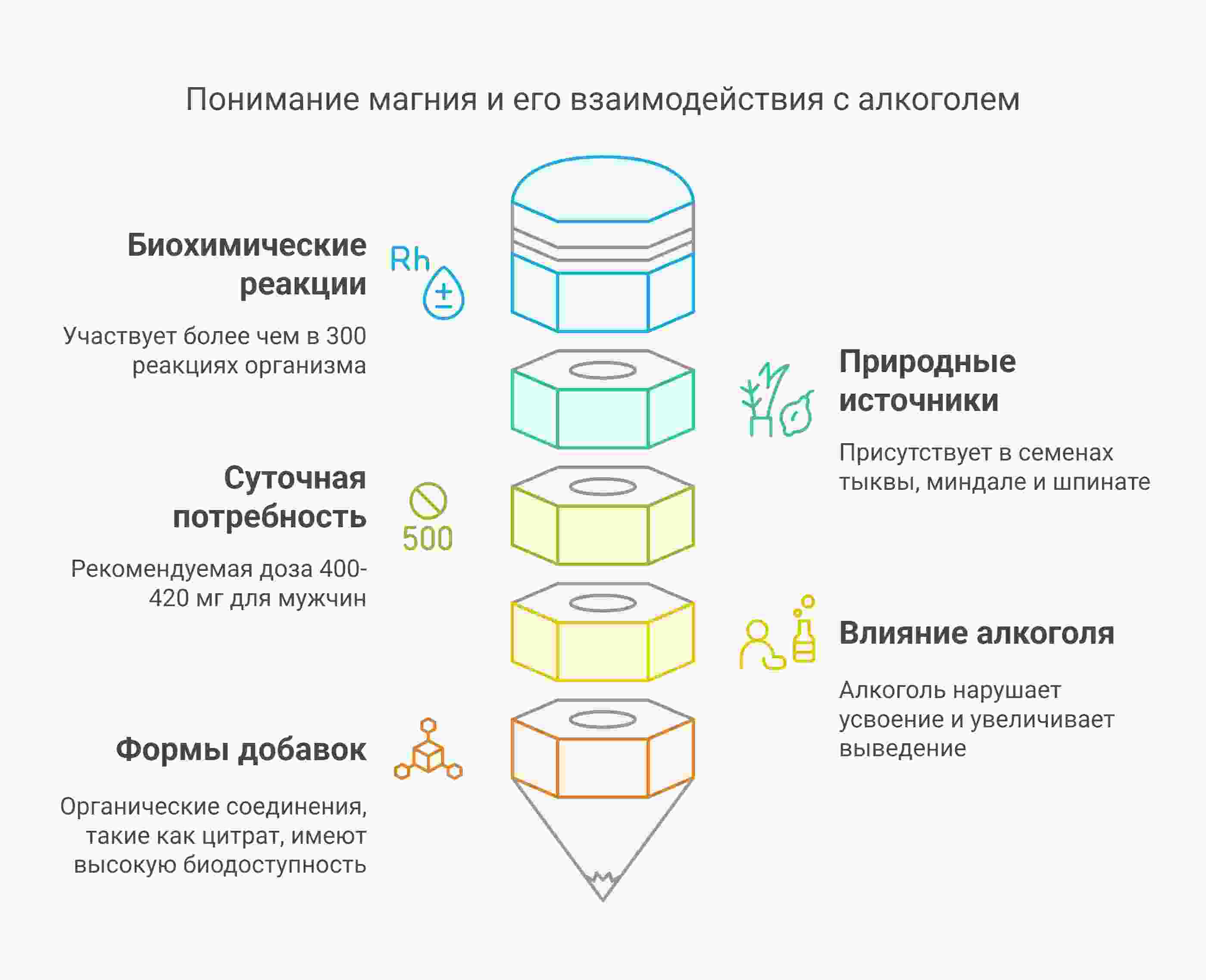 Инфографика о том как алкоголь взаимодействует на магний в организме